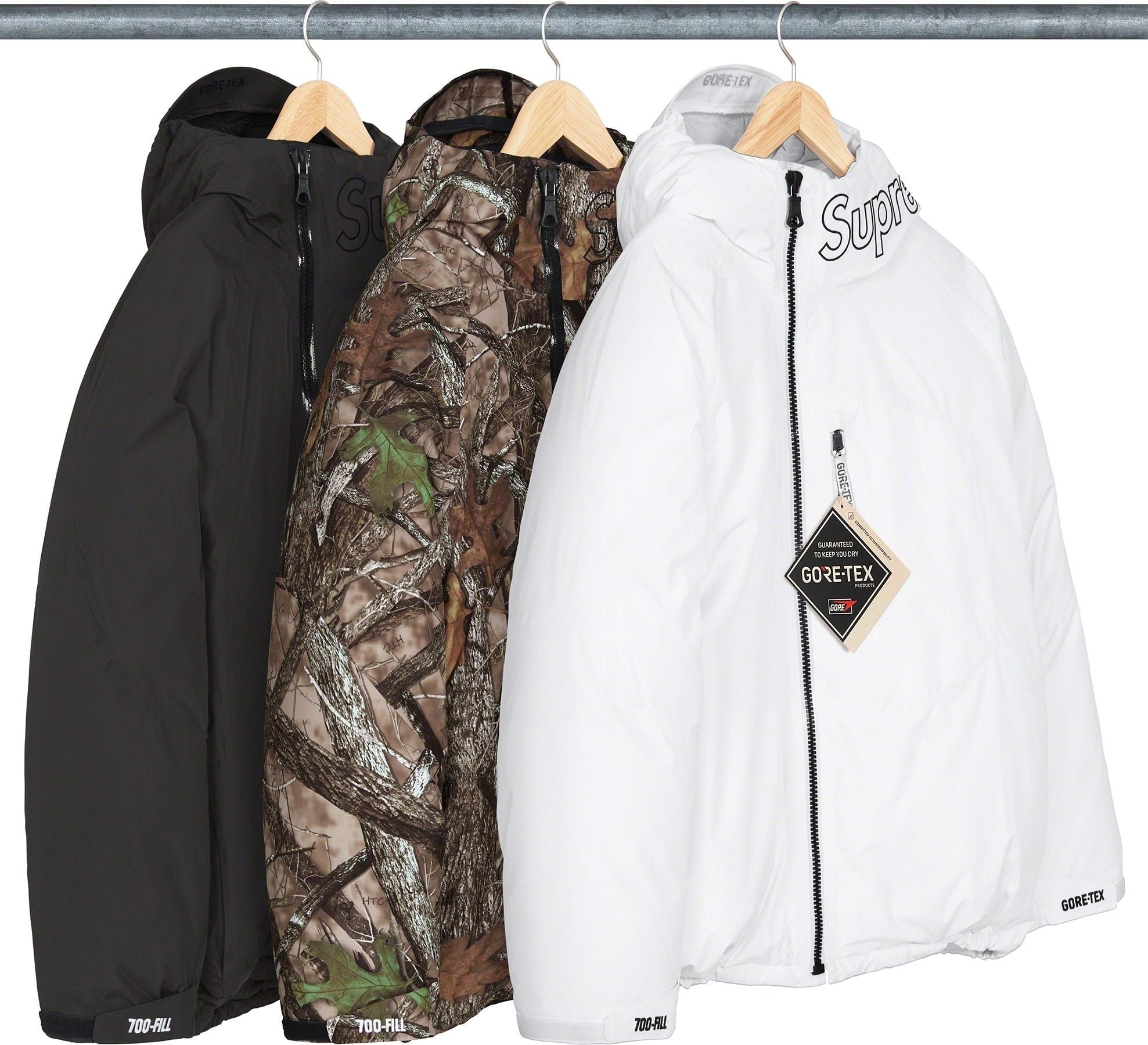 GORE-TEX 700-Fill Down Parka